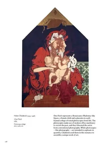 Cameraless Photography. V&A Photography Library Series - фото 7