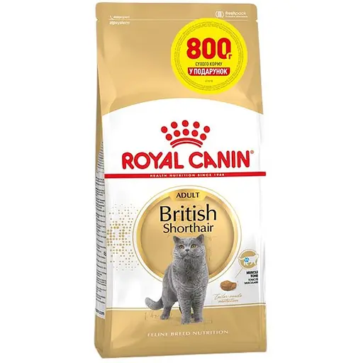Сухий корм для британських короткошерстих дорослих котів Royal Canin British Shorthair Adult з м'ясом птиці 3.2 кг + 800 г