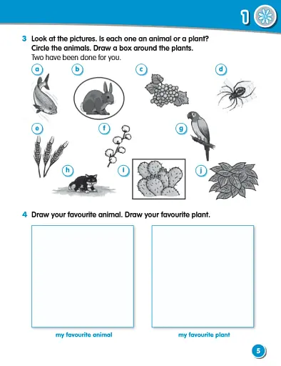 Macmillan Science. Level 1. Workbook - фото 4