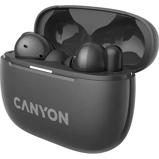 Навушники Canyon TWS headset OnGo TWS-10 ANC+ENC Grey (CNS-TWS10BK) - фото 2