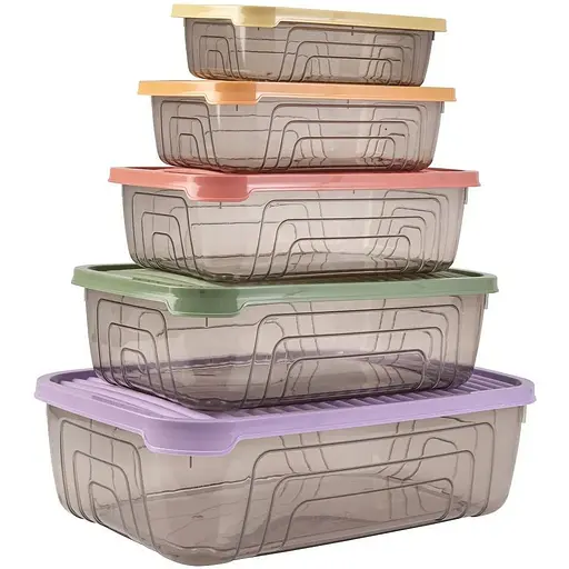 Набір пластикових контейнерів Herevin Rectangular Storage Bowl Set-2024 Colours 5 шт. (163333-150)