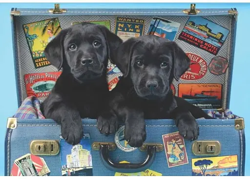 Пазл Anatolian Собачий вояж 500 эл. (3601) - фото 2