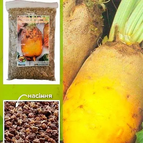 Свекла кормовая "Эккендорфская желтая" ТМ "Весна" 500г (22037) - фото 1