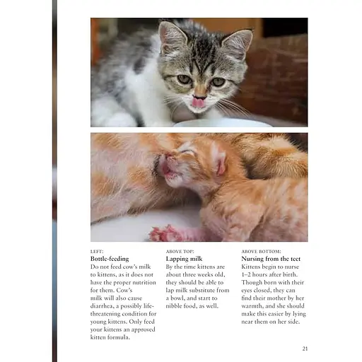 Kittens – Олдертон Дэвид - фото 3