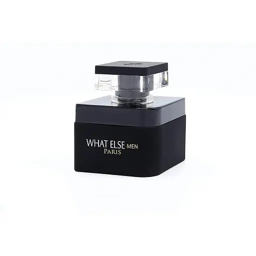 Туалетна вода Prestige Parfums What Else Men парфюмированная вода 100 мл 100 мл