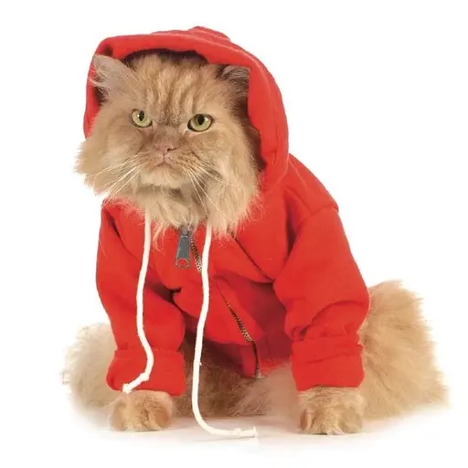 Cats Gone Bad - фото 5