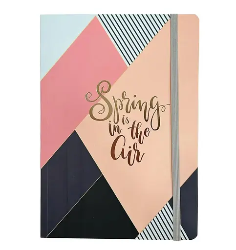 Зошит, А5, на гумці, картонна обкладинка з фольгою, 100 аркушів, клітинка, 5195