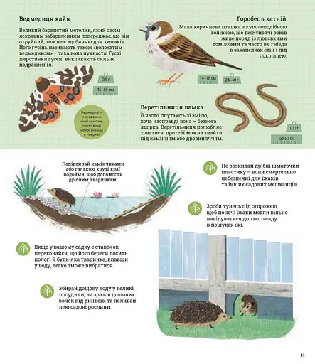 Як допомогти їжачкові та захистити полярного ведмедя - фото 3