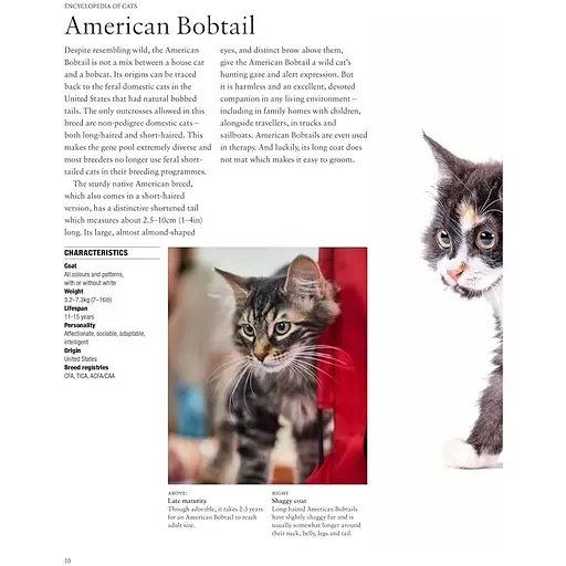 Encyclopedia of Cats - Фотопулос Джулианна - фото 3