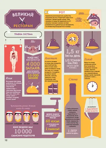 Крутезна інфографіка : Анатомія - фото 12