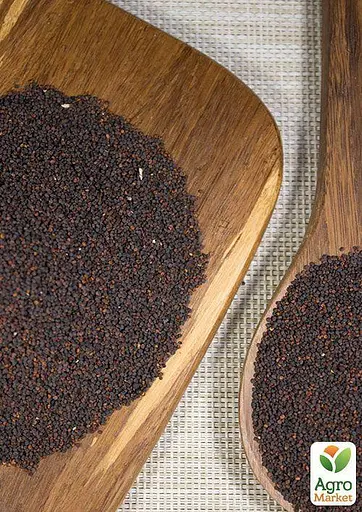 Гипсофила белая Весна 2г (13286) - фото 3