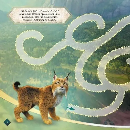 Мавка. Лабіринти з наліпками. Загадковий світ - фото 6