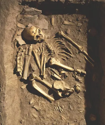 1001 Ideas that Changed the Way We Think - фото 10