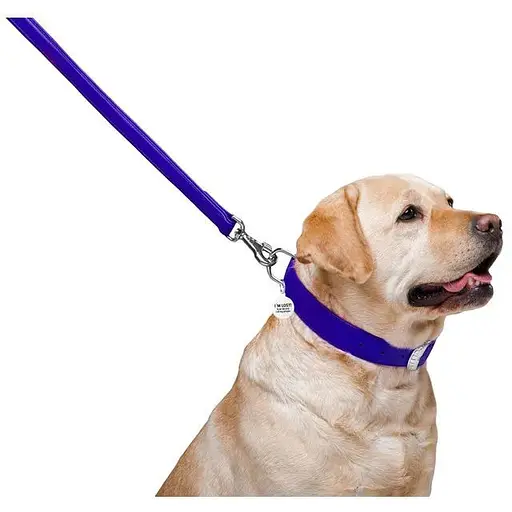 Поводок для собак Waudog Glamour кожаный, фиолетовый - фото 4