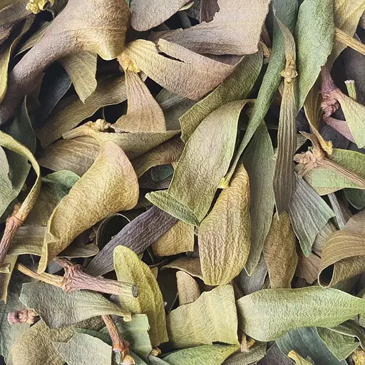 100 г омела белая лист сушеный - свежий урожай