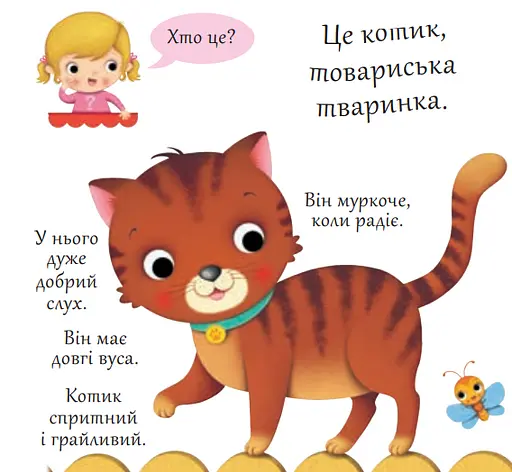 Книга Хто це? Котики. Автор - Емілія Бомон, Наталя Беліно (Богдан) - фото 2