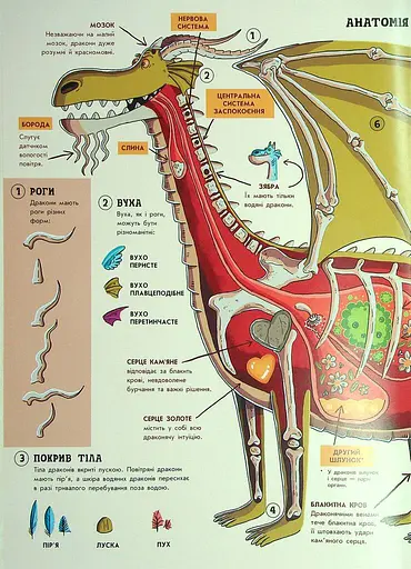Факти та перекази : Факти та перекази про драконів - фото 2