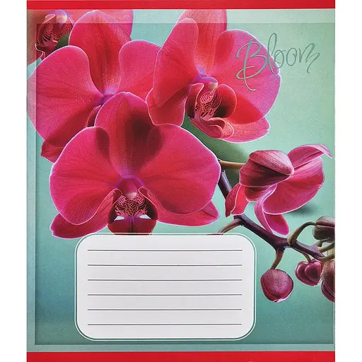 Тетрадь ученическая "Орхидеи" Leader 018-530261K-5 в клеточку, 18 листов - фото 1