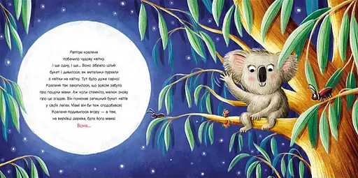 Книга Зникла? Знайшлась! Книга-перевертайка. Автор - Нанна Несгьофер (Ранок) - фото 2