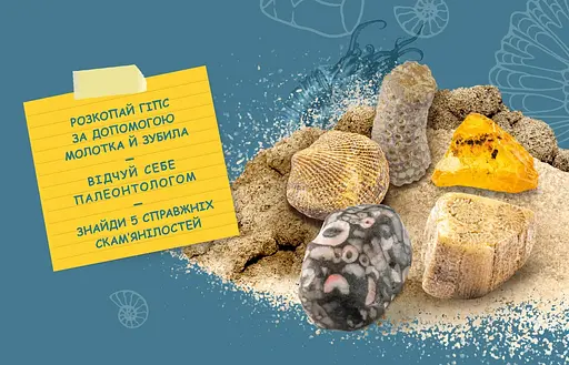 Розкопки скам'янілостей Kosmos - Набір для дослідження - фото 5