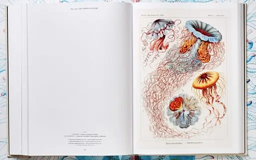 The Art and Science of Ernst Haeckel - фото 10