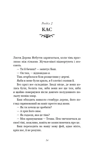 Розпусні загублені хлопці. Темний. Книга 2 - фото 11