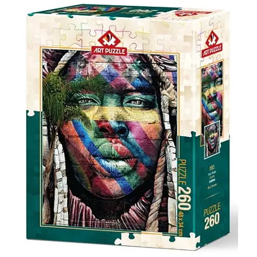 Пазл Art Puzzle Графіті Сан-Паулу 260 ел. (5021) - фото 1