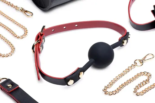 Набор для BDSM Master Series Bow - Luxury BDSM Set With Travel Bag - фото 3