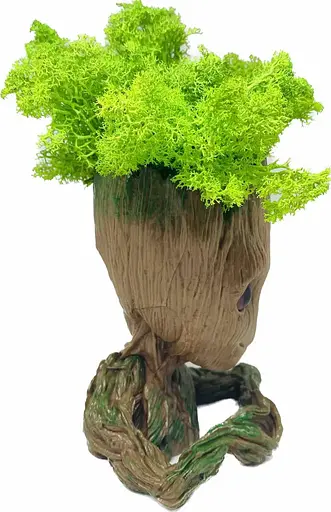 Кашпо горшочек со стабилизированным мхом Грут Groot G2 - фото 5