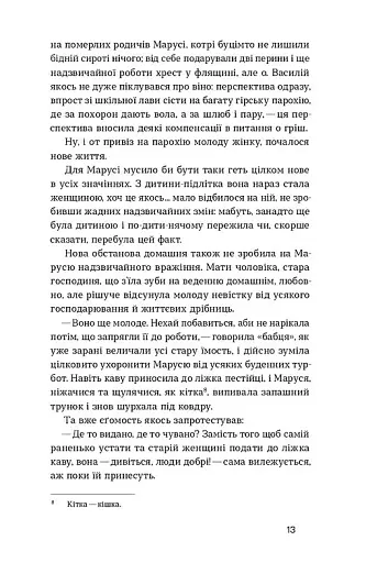 Камінна душа - фото 6