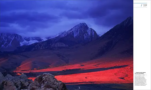 Photography - фото 11