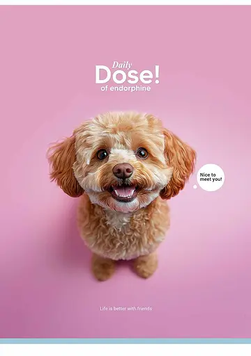 Комплект 3 шт загальних зошитів. Зошит Школярик А4 80 арк. у лінію 5248 4823088248494 - фото 3