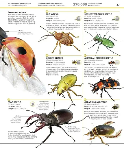Knowledge Encyclopedia Animal! - фото 5