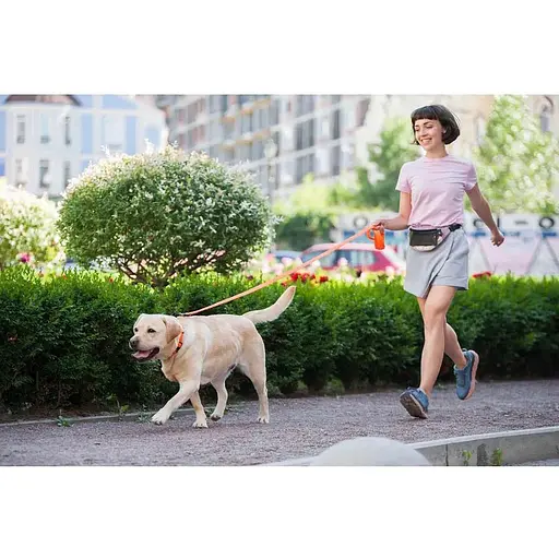 Повідець Waudog Еволютор (ширина 25 мм, довжина 210 см) помаранчевий - фото 8