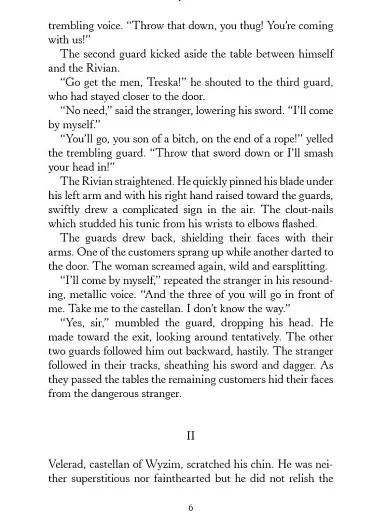 The Last Wish - фото 7