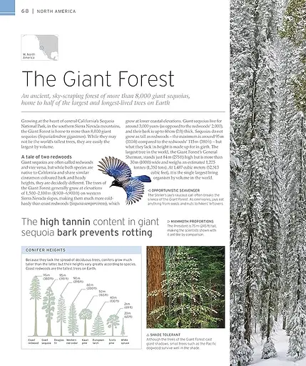 Natural Wonders of the World - фото 4