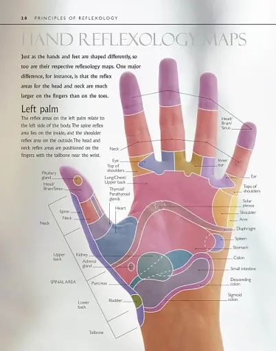 Reflexology - фото 4