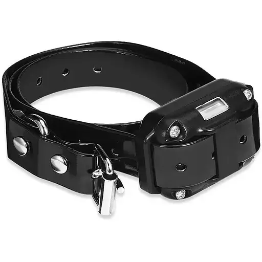 Электронный ошейник Pet DTC-800 - фото 4