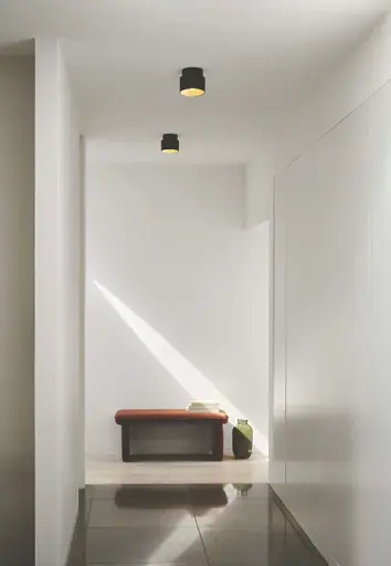 Потолочный светильник Nordlux 2310460103 TORONE - фото 2