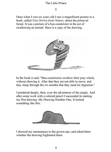 The Little Prince - фото 2