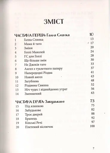 Різдвяна свинка - фото 4