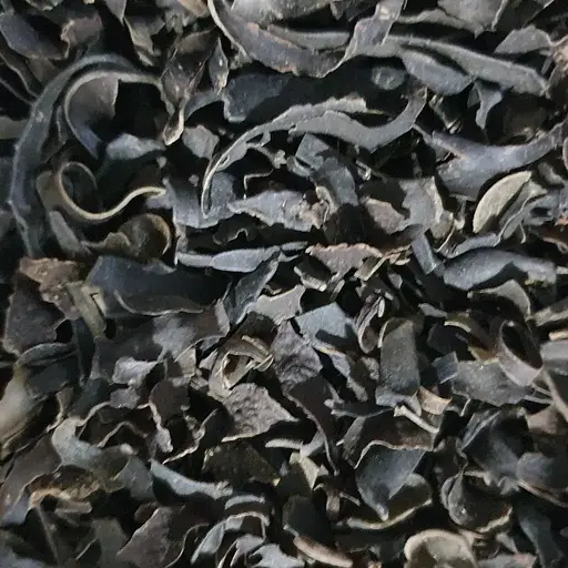 100 г фукус пухирчастий морська водорість сушена - свіжий урожай