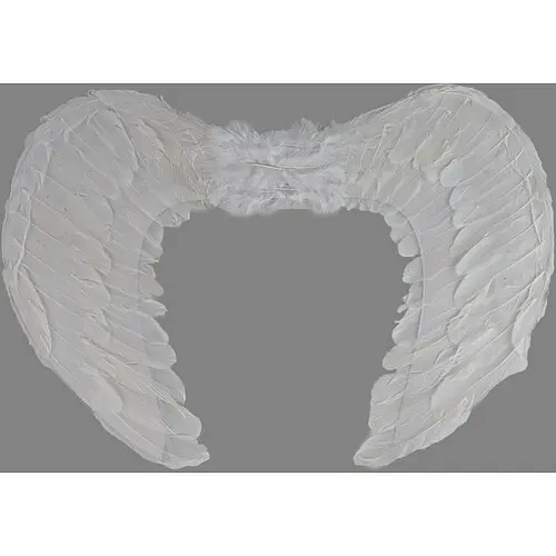 Крылья ангела - фото 1