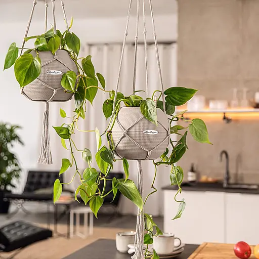 Підвіс Lechuza Macrame Boho білий 120 см (13897) - фото 4