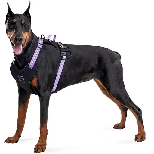 Шлея для собак Waudog Nylon безпечна з QR паспортом, металічна пряжка-фастекс, M фіолетовий - фото 5