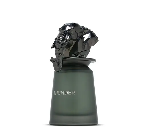 Парфумована вода French Avenue Thunder 100 мл