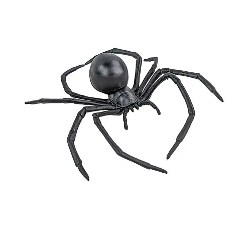 Паук Дикий - фото 2