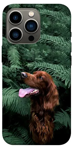 TPU чохол Собака в зелені - фото 1