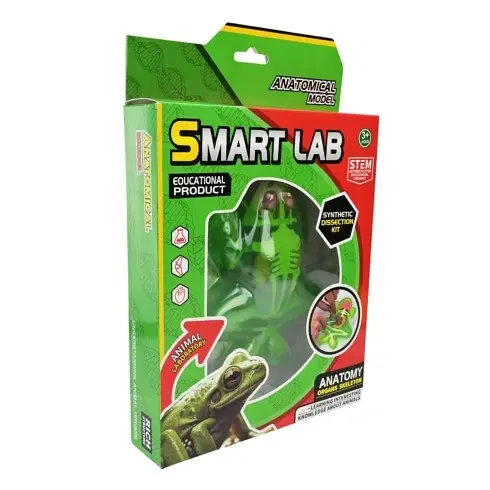 Дитячий лабораторнний набір Жаба Bambi 801B, скелет, внутрішні органи - фото 3