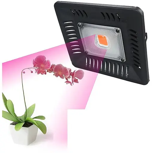 Фитопрожектор светодиодный Pr-50 Pr50003 - фото 1